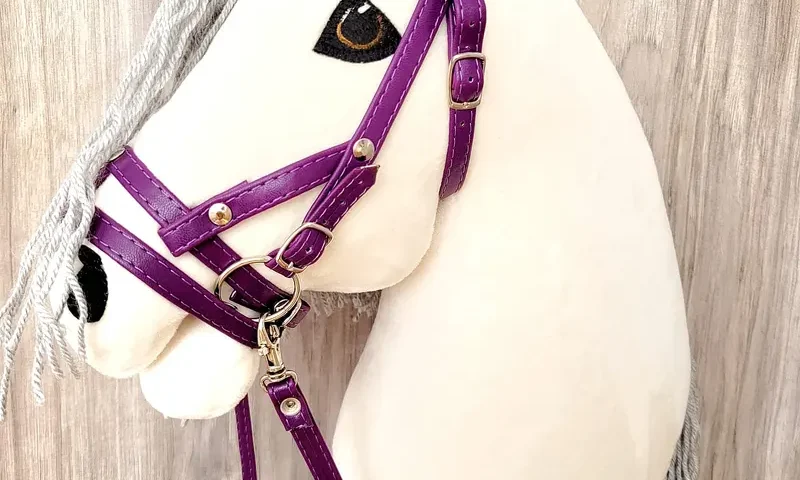 Edukacyjne korzyści z zabawy konikami na patyku dla dzieci